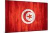 Flag Of Tunisia-Miro Novak-Mounted Art Print