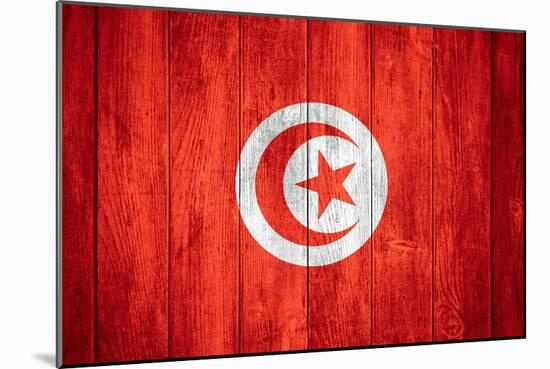 Flag Of Tunisia-Miro Novak-Mounted Art Print