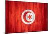 Flag Of Tunisia-Miro Novak-Mounted Art Print