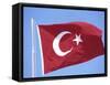 Flag of Turkey-Barry Winiker-Framed Stretched Canvas