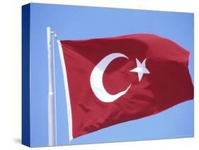 Flag of Turkey-Barry Winiker-Stretched Canvas