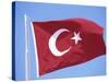Flag of Turkey-Barry Winiker-Stretched Canvas
