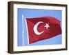 Flag of Turkey-Barry Winiker-Framed Photographic Print
