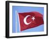 Flag of Turkey-Barry Winiker-Framed Photographic Print