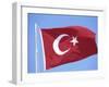 Flag of Turkey-Barry Winiker-Framed Photographic Print