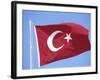 Flag of Turkey-Barry Winiker-Framed Photographic Print