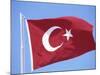 Flag of Turkey-Barry Winiker-Mounted Photographic Print