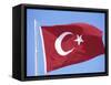 Flag of Turkey-Barry Winiker-Framed Stretched Canvas