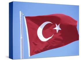 Flag of Turkey-Barry Winiker-Stretched Canvas