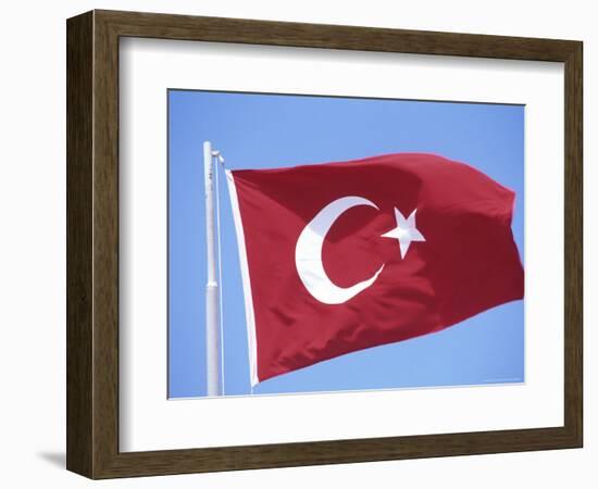 Flag of Turkey-Barry Winiker-Framed Photographic Print