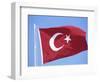 Flag of Turkey-Barry Winiker-Framed Photographic Print