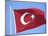 Flag of Turkey-Barry Winiker-Mounted Photographic Print