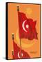 Flag of Turkey-null-Framed Stretched Canvas
