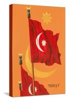 Flag of Turkey-null-Stretched Canvas