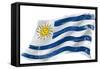 Flag of Uruguay in the Wind with a Texture-TINTIN75-Framed Stretched Canvas