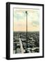 Flag Pole Gilder, South Waco-null-Framed Art Print