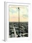 Flag Pole Gilder, South Waco-null-Framed Art Print