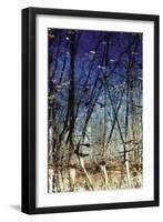 Flag Pond Marsh-Mary Hollinger-Framed Art Print