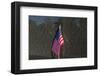 Flag Vietnam Veterans Memorial-null-Framed Art Print