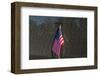 Flag Vietnam Veterans Memorial-null-Framed Art Print