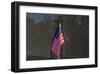 Flag Vietnam Veterans Memorial-null-Framed Art Print