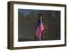 Flag Vietnam Veterans Memorial-null-Framed Art Print