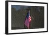 Flag Vietnam Veterans Memorial-null-Framed Art Print