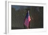 Flag Vietnam Veterans Memorial-null-Framed Art Print