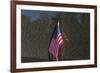 Flag Vietnam Veterans Memorial-null-Framed Art Print