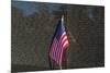 Flag Vietnam Veterans Memorial-null-Mounted Art Print