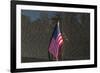 Flag Vietnam Veterans Memorial-null-Framed Art Print