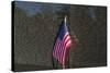 Flag Vietnam Veterans Memorial-null-Stretched Canvas