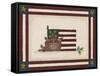 Flag with Basket of Apples-Debbie McMaster-Framed Stretched Canvas