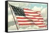 Flag with Sky Background-null-Framed Stretched Canvas