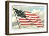 Flag with Sky Background-null-Framed Art Print