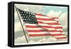 Flag with Sky Background-null-Framed Stretched Canvas