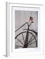 Flag-Harvey Edwards-Framed Collectable Print