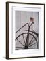 Flag-Harvey Edwards-Framed Collectable Print