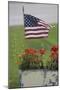 Flag-Jeff Rasche-Mounted Photographic Print