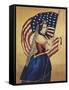 Flag-null-Framed Stretched Canvas