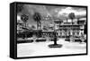 Flager College - St. Augustine - Florida - United States-Philippe Hugonnard-Framed Stretched Canvas