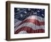 Flagfire-Jbunch-Framed Art Print