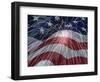 Flagfire-Jbunch-Framed Art Print