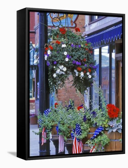 Flags and Flowers, Philipsburg, Montana, USA-Chuck Haney-Framed Stretched Canvas