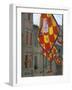 Flags and Lamps of the Chiocciola Contrada in the Via San Marco During the Palio, Siena, Italy-Ruth Tomlinson-Framed Photographic Print