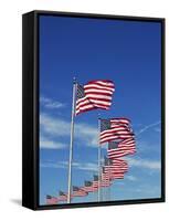 Flags at Washington Monument-David Papazian-Framed Stretched Canvas