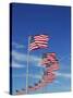Flags at Washington Monument-David Papazian-Stretched Canvas