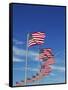 Flags at Washington Monument-David Papazian-Framed Stretched Canvas