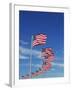 Flags at Washington Monument-David Papazian-Framed Premium Photographic Print