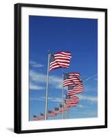 Flags at Washington Monument-David Papazian-Framed Premium Photographic Print